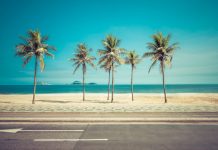 Greentube expands Brazil presence with bet365 deal Greentube expands Brazil presence with bet365 deal