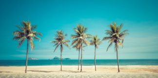 Greentube expands Brazil presence with bet365 deal Greentube expands Brazil presence with bet365 deal