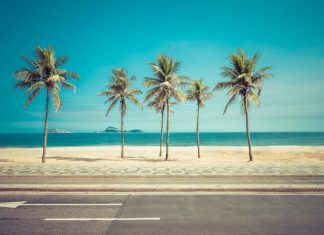 Greentube expands Brazil presence with bet365 deal Greentube expands Brazil presence with bet365 deal