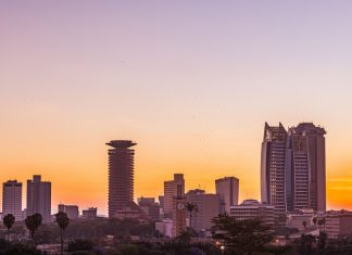 Part 2: adapting to Africa is essential for success
