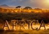 Tekkorp: analysing the African market as an untapped opportunity for growth