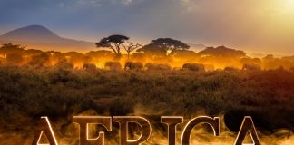 Tekkorp: analysing the African market as an untapped opportunity for growth