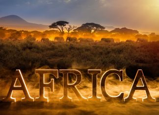 Tekkorp: analysing the African market as an untapped opportunity for growth