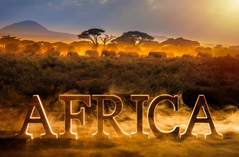 Tekkorp: analysing the African market as an untapped opportunity for growth 