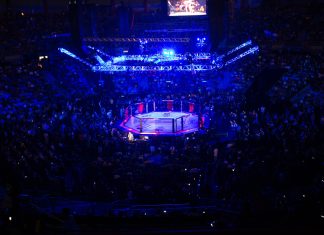 SPRIBE secures WWE and UFC deal to ‘reach millions more consumers around the globe’ UFC Octagon on fight night