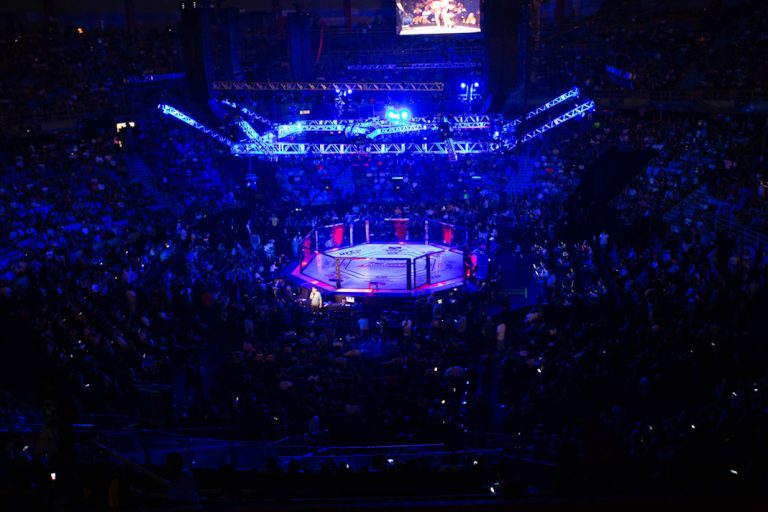 UFC Octagon on fight night