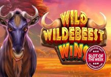 Pragmatic Play’s stampeding slot sensation clinches Slot of the Week