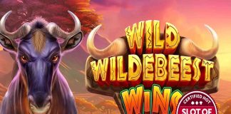 Pragmatic Play’s stampeding slot sensation clinches Slot of the Week