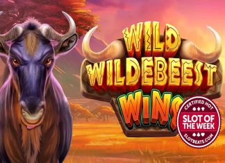Pragmatic Play’s stampeding slot sensation clinches Slot of the Week