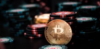 Stake: Pushing beyond crypto and into Latin America Crypto