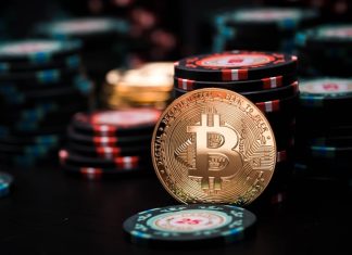 Stake: Pushing beyond crypto and into Latin America Crypto