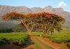 888Bets enhances African footprint in Malawi