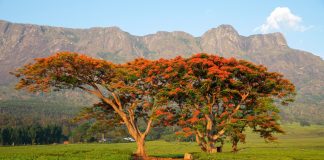 888Bets enhances African footprint in Malawi
