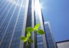 Light & Wonder enters charity gaming sector with $850m acquisition Plant sprouting with skyscrapers behind