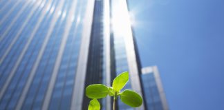Light & Wonder enters charity gaming sector with $850m acquisition Plant sprouting with skyscrapers behind
