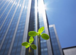 Light & Wonder enters charity gaming sector with $850m acquisition Plant sprouting with skyscrapers behind