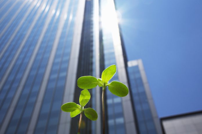 Charity Plant sprouting with skyscrapers behind