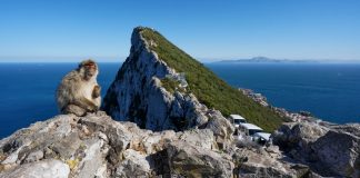 Gibraltar unites with INTERPOL to strengthen fight against financial crime