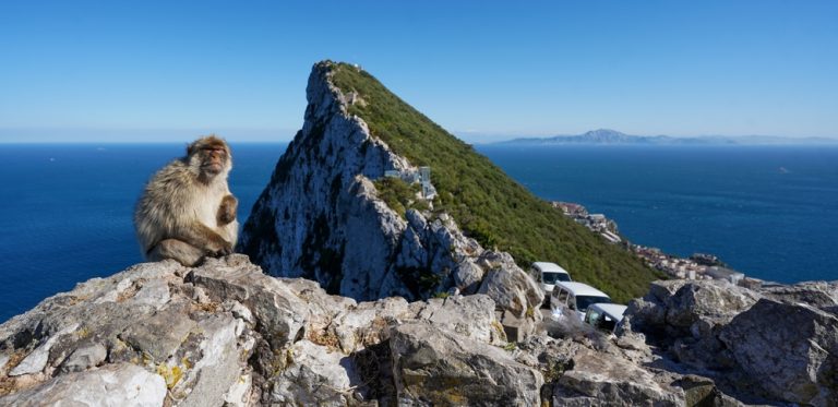 Gibraltar unites with INTERPOL to strengthen fight against financial crime