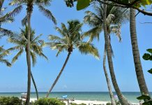Florida elevates hostility against sweepstake casinos