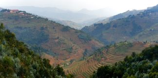 Rwanda spikes gambling taxes as political volatility intensifies