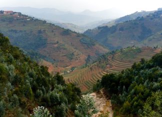 Rwanda spikes gambling taxes as political volatility intensifies