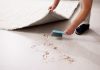 Regulatory Rundown: Sweepsing it under the carpet Man sweeping dirt under a rug