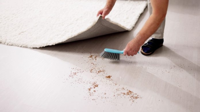 Regulatory roundup sweeps Man sweeping dirt under a rug