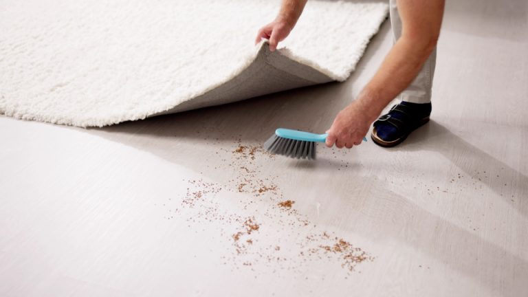 Man sweeping dirt under a rug