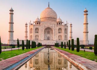 Police pressured to take action over Indian celebs betting promotions India