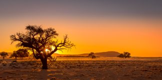 African gambling aspirations: Fazi plots course across unique landscape