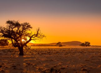 African gambling aspirations: Fazi plots course across unique landscape