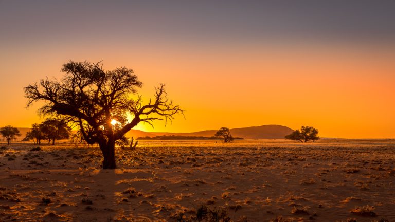 African gambling aspirations: Fazi plots course across unique landscape