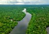 Brazil must learn from mature markets but can’t copy and paste