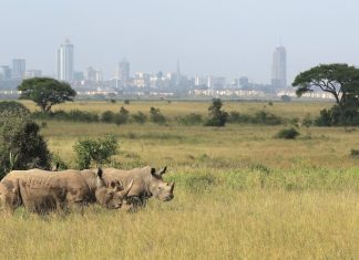 Rhino Bet confirms closure of UK operations
