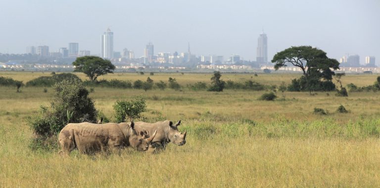 Rhino Bet confirms closure of UK operations 