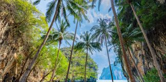 Disruption reigns in Thailand over casino bill progress