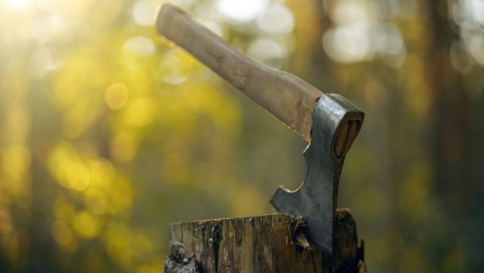 Axe in wood