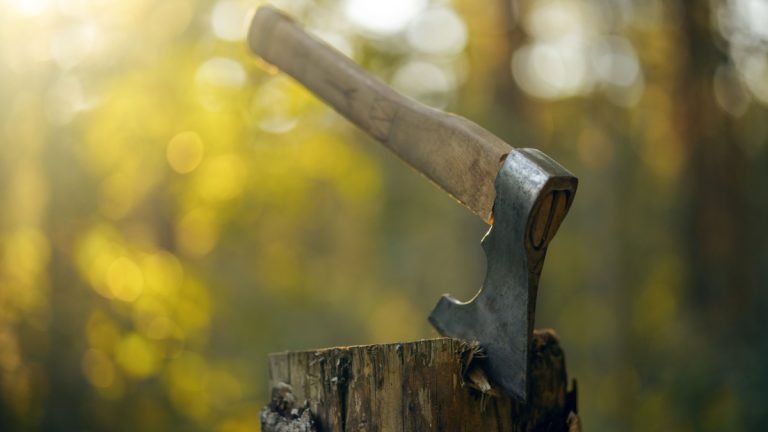 Axe in wood