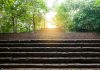 Rhino Entertainment’s Alistair Facciol – the essential steps to new market entry New market entry - MeridianBet