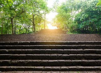 Rhino Entertainment’s Alistair Facciol – the essential steps to new market entry New market entry - MeridianBet