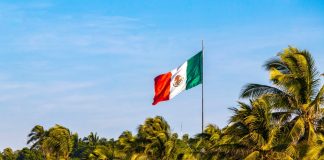 Mexican business needs new Federal Gaming Law Mexico urged for debate on gambling