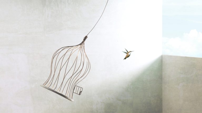 A bird flying the coop as a concept of independence within iGaming