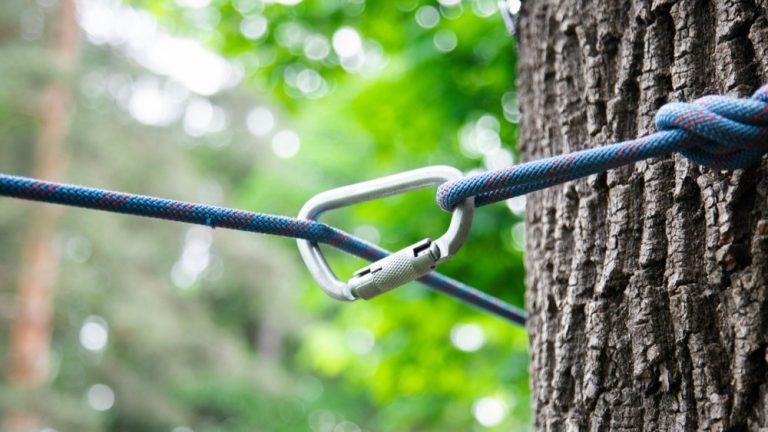 Climbing rope as a concept for reliability and reach in a CreedRoomz and EveryMatrix alliance