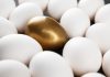 Platipus: product diversification critical as UK entry looms on the horizon Concept of product diversification which is being sought by Platipus