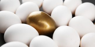 Platipus: product diversification critical as UK entry looms on the horizon Concept of product diversification which is being sought by Platipus