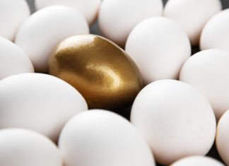 Platipus: product diversification critical as UK entry looms on the horizon Concept of product diversification which is being sought by Platipus