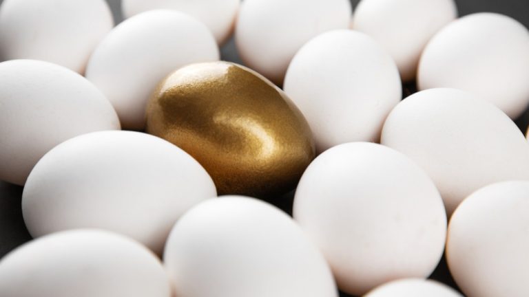 Concept of product diversification which is being sought by Platipus