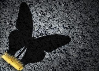 Roundtable: the art of the rebrand Transformation