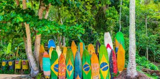 Evolution launches Brazil studio but profits down in Q2 Brazil flag on surfboards